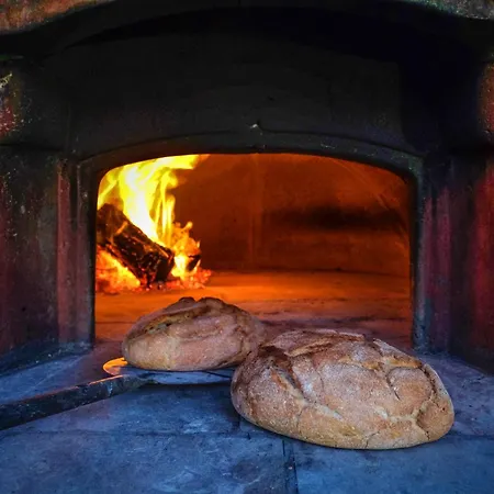 Alymir * 토레 모차