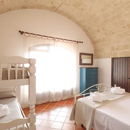 Alymir 토레 모차